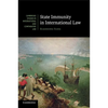 State Immunity in International Law - Paperback