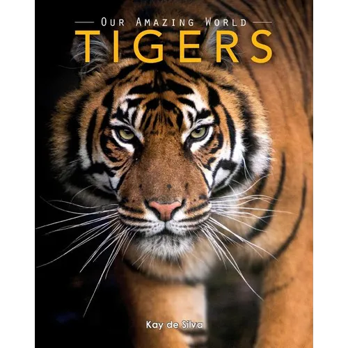 Tigers: Amazing Pictures & Fun Facts on Animals in Nature - Paperback