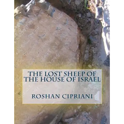The Lost Sheep Of The House Of Israel - Paperback