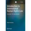 Introduction to International Human Rights Law - Hardcover