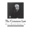 The Common Law - Paperback