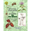 Botanical Illustration in Gouache - The Four Seasons - Paperback