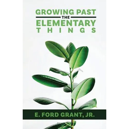 Growing Past the Elementary Things - Paperback