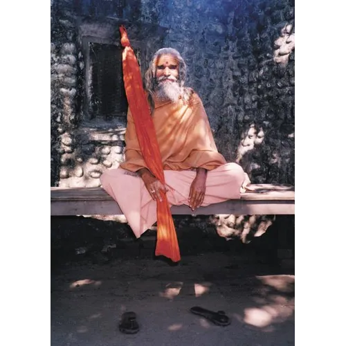 Dandi Swami: The Story of the Guru's Will, Maharishi Mahesh Yogi, the Shankaracharyas of Jyotir Math, & Meetings with Dandi Swami N - Paperback