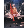 Dandi Swami: The Story of the Guru's Will, Maharishi Mahesh Yogi, the Shankaracharyas of Jyotir Math, & Meetings with Dandi Swami N - Paperback
