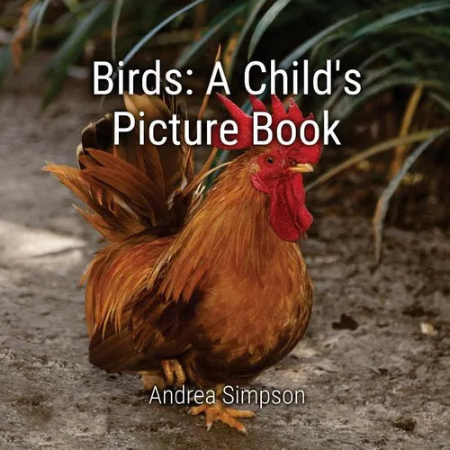 Birds: A Child's Picture Book - Paperback