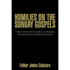 Homilies on the Sunday Gospels: A help for the busy Priests, Deacons, and Preachers And a good source of meditation for everyone - Paperback