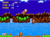 Ray the Flying Squirrel in Sonic the Hedgehog Sega Genesis Game Cart Repro