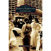 Korean Americans in Chicago - Hardcover