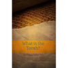 What is the Torah? - Paperback