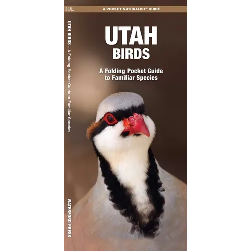 Utah Birds: A Folding Pocket Guide to Familiar Species