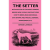 The Setter - With Notices Of The Most Eminent Breeds Now Extant; Instructions How To Breed, Rear And Break; Dog Shows, Field Trials And General Manage - Paperback