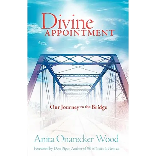 Divine Appointment - Paperback
