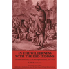 In the Wilderness with the Red Indians: German Missionary to the Michigan Indians, 1847-1853 - Paperback