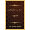 Breckie, His Four Years: 1914-1918 (1918) - Paperback