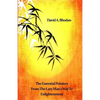 The Essential Pointers From The Lazy Man's Way To Enlightenment - Paperback