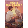 Such a Small World - Paperback