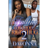 Falling For A Hood Rich Thug 2 - Paperback