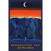 Resurrection Fail - Paperback