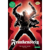 Frankenstein the Graphic Novel: Quick Text - Paperback