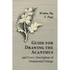 Guide for Drawing the Acanthus, and Every Description of Ornamental Foliage - Paperback