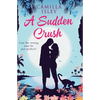A Sudden Crush (Special Rainbow Edition): An enemies to lovers, grumpy sunshine romantic comedy - Paperback