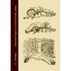 Collected Papers on Christofredo Jakob - Paperback