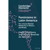 Feminisms in Latin America - Paperback