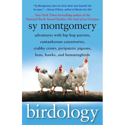 Birdology: Adventures with Hip Hop Parrots, Cantankerous Cassowaries, Crabby Crows, Peripatetic Pigeons, Hens, Hawks, and Hummingbirds - Paperback