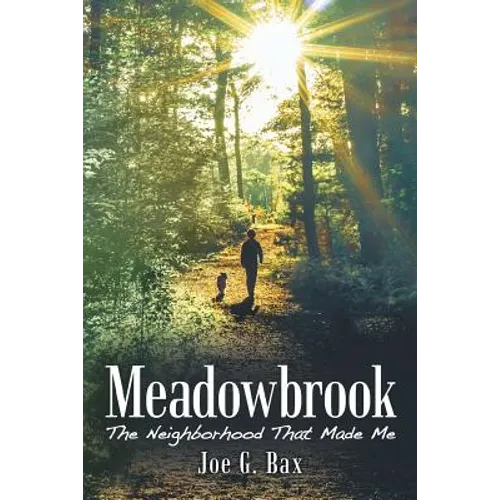 Meadowbrook: The Neighborhood That Made Me - Paperback