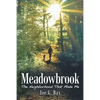 Meadowbrook: The Neighborhood That Made Me - Paperback
