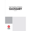 PLUS Picture Licensing Glossary - Paperback