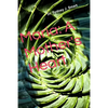 Maria: A Mother's Heart - Paperback