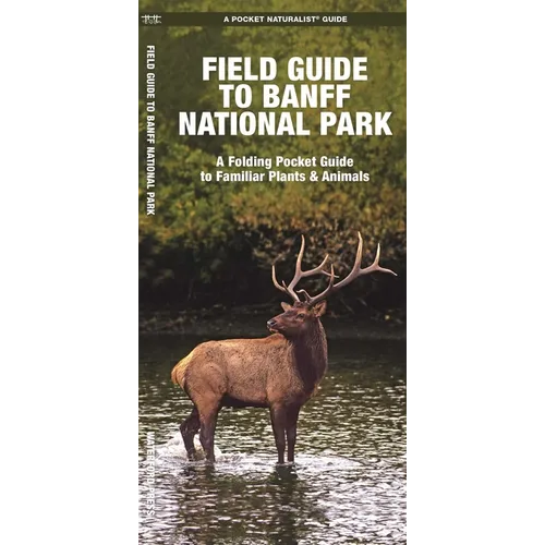 Banff National Park, Field Guide to: A Folding Pocket Guide to Familiar Plants & Animals - Paperback
