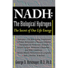 NADH: The Biological Hydrogen: The Secret of Our Life Energy - Paperback