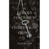 The Curious Conundrum of Charlemagne Crosse - Paperback