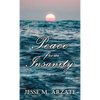 Peace from Insanity - Hardcover