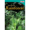 Step into the Rainforest - Paperback