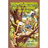 The Happy Hollisters and the Haunted House Mystery - Paperback