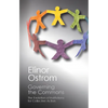 Governing the Commons - Paperback