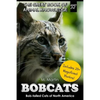Bobcats: Bob-tailed Cats of North America - Paperback