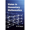 Vision in Elementary Mathematics - Paperback