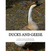 Ducks and Geese - Paperback