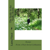 The Snake in the Vodka Bottle: Life Stories from Post-Soviet Lithuania Twenty Years after the Collapse of Communism - Paperback