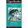 Tiger Beetles of Minnesota, Wisconsin & Michigan - Paperback