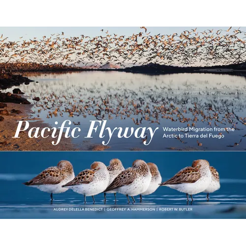 Pacific Flyway: Waterbird Migration from the Arctic to Tierra del Fuego - Paperback