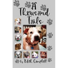 A Thousand Tails - Paperback