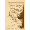 Baron Trump's Marvellous Underground Journey - Paperback