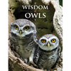 Wisdom of Owls - Hardcover