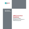 Effective Change Management Practices in HMI Development - Paperback